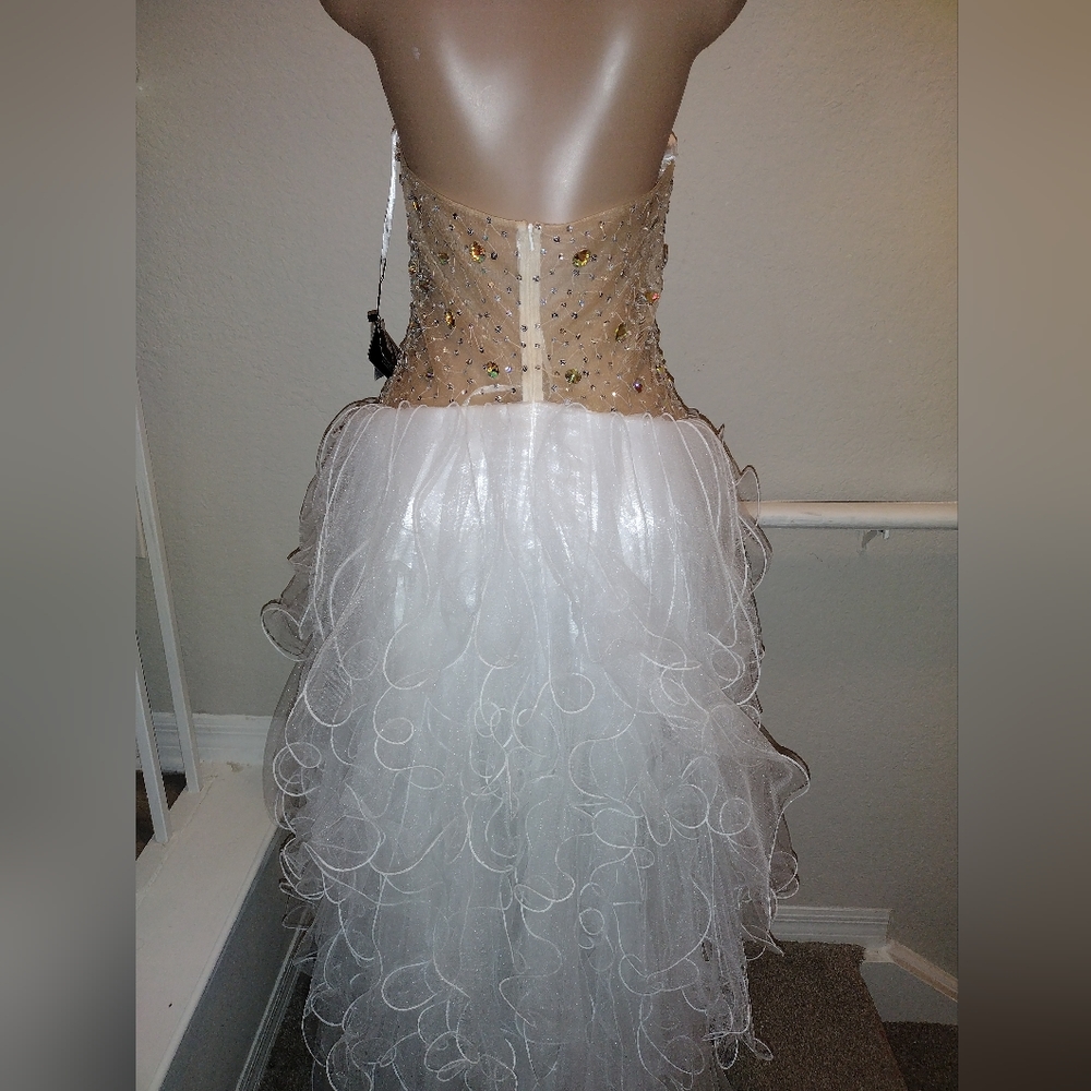 Nina Canacci Formal high low formal Gown Size 12 - Picture 3 of 11